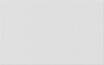 Produktbild von Erfurt Vliesfaser 1004311 Protect 203 10,05x0,53 m