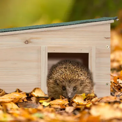Productafbeelding van Famanu Igelhuis met bodem, 2 compartimenten - Natuurlijk winterhuis voor egels, geschikt voor de tuin