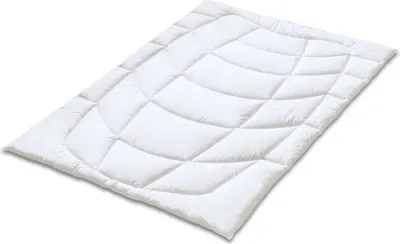 Produktbild von Kauffmann Wildseide Steppdecke 260x220 cm leicht