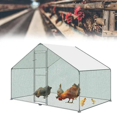 Imagen del producto de Gallinero de 3x2x2 metros. Corral para aves de corral. Jaulas para animales pequeños. Estructura de acero galvanizado. Jaula para gallinas con techo de polietileno. Corral exterior con cerradura. Estructura para aves de corral