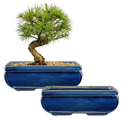 Productafbeelding van Bonsaipotten - Set van 2 - Keramiek - Blauw - 22 cm