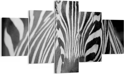 Produktbild von Bild auf Leinwand - Leinwandbild - Tiere Zebra gestreift - 125x70cm - Wand Bild - Wanddeko - Leinwanddruck - Bilder - Kunstdruck - Wanddekoration - Leinwand bilder - Wandkunst - EA125x70-2254