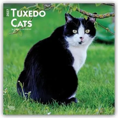 Obrázok produktu pre Mačky v obleku - Kalendár "Tuxedo Cats" na rok 2027, formát 16 mesiacov