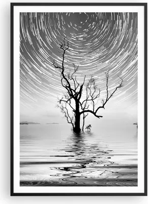 Produktbild von Gerahmtes Poster - Schwarzer Rahmen - Schwarzweiß Baum See - 70x100 cm - Wand Bild - Wanddeko - Wandbilder - Kunstposter - Wandposter - Bilderrahmen - Bilder - Kunstdruck - Wandbild - P2BPA70x100-4253