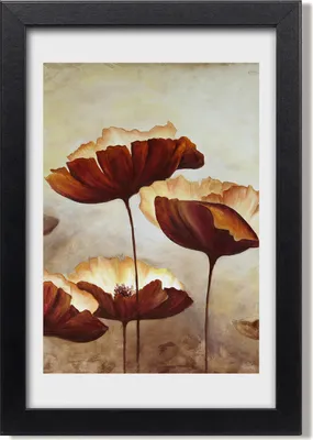Produktbild von Bild 20x30 MDF-Rahmen, Wandkunst Feldmohnblumen