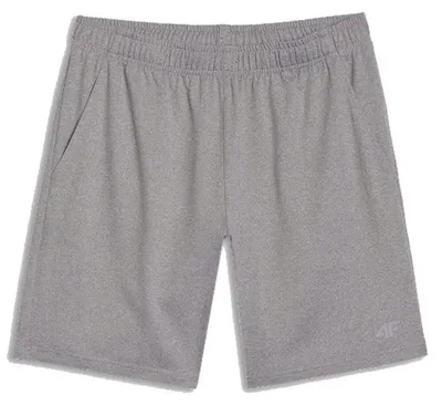 Immagine prodotto di 4F Pantaloni SPODENKI4FM1310SZARE, Taglia: 185