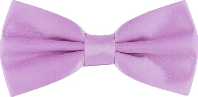 Image de Ladeheid Enfants Garçons Noeud papillon MJ (10cm x 5cm)