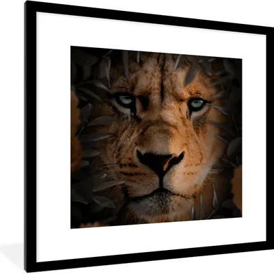 Produktbild von MuchoWow® MuchoWow® Gerahmtes Poster Tiere - Löwe - Natur 40x40 cm - Poster mit zchwarzem Bilderrahmen - Poster - Plakat im Rahmen