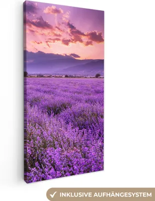 Produktbild von MuchoWow® - Leinwandbilder - Lavendel - Lila - Blumen - Feld, Wandbild, Wanddeko Bilder Wohnzimmer, 20x40 cm