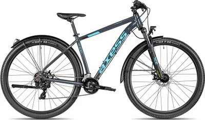 Produktbild von Axess SANDEE ATB alltagstaugliches Hardtail Mountainbike 29 Zoll Schwarz 17 Zoll