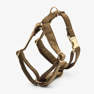Produktbild von Nanook Signature Hundegeschirr, Farbe:Chocolate, Größe:XS