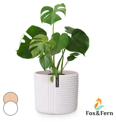 Obrázek produktu pro Fox & Fern Květináč Hasselt z polystonu, ručně vyrobený, vhodný pro rostliny ve 3D vzhledu.