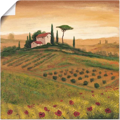 Produktbild von ARTland Poster Toskanalandschaft mit Mohnblumen I Größe: 70x70 cm