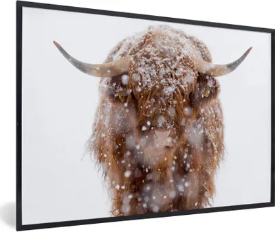 Produktbild von MuchoWow® Gerahmtes Poster Schottischer Highlander - Schnee - Porträt 90x60 cm - Poster mit Schwarzem Bilderrahmen Wandposter Rahmen Foto Bilder - Fotorahmen - Foto-Plakat