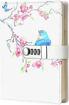 Immagine prodotto di Diario con serratura a combinazione, in ecopelle, con 110 fogli, dimensioni 215 x 150 mm, ideale per scuola e ufficio