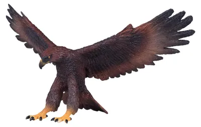 Obrázek produktu pro Mojo Fun Golden Eagle, 3 rok/roky, Wildlife, Hnědá, Žlutá, Černá, Polyvinylchlorid (PVC)