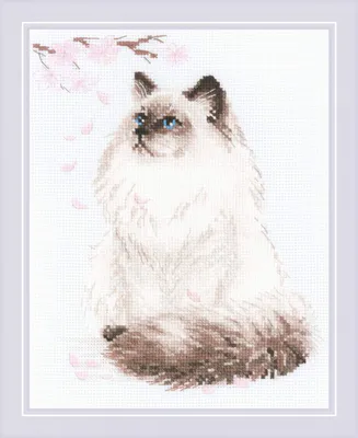 Imagen del producto de Kit de bordado a punto de cruz Riolis "Miaou-Zen", tela Aida de 10 puntos, diagrama, 24x30 cm