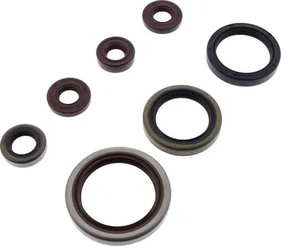 Productafbeelding van SATZ SHERCO SE-R 250/300: Motorpakking set, 14-20
