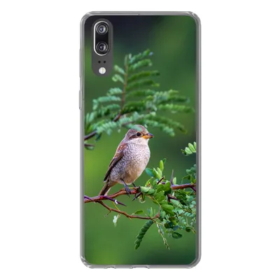 Produktbild von MuchoWow® Handyhülle Schutzhülle Hülle für Huawei P20 Vogel - Baum - Wald Silikon Softcase Handy Hülle - Hardcover