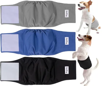 Image de Couches lavables pour chiens mâles, très absorbantes
