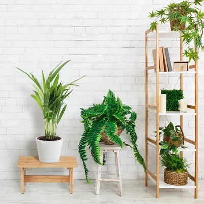 Obrázok produktu pre Bambusová stolička s rúčkou 205x40x22cm Prírodná rastlinná stolička Detská stolička