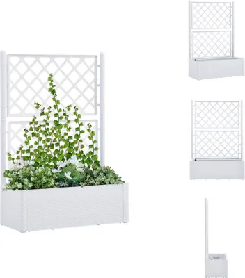 Produktbild von vidaXL Garten-Hochbeet mit Spalier und Selbstbewässerungssystem Weiß - Blumentöpfe & Pflanzgefäße