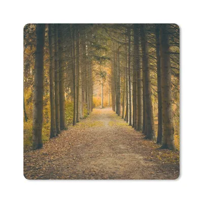 Produktbild von MuchoWow® Mauspad Mousepad Pfad - Bäume - Wald 20x20 cm - Mousepads - Maus Mat - Pad - Mausunterlage - Desk Mat - Bureauartikeln