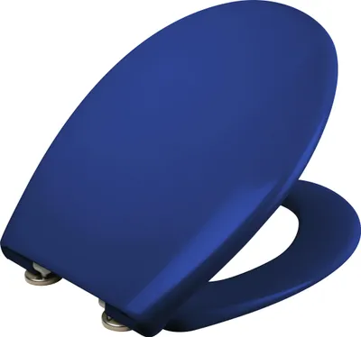 Produktbild von Calmwaters® Premium WC Sitz einfache Montage, Toilettendeckel bis 250 kg,  EU, antibakterieller Duroplast, Absenkautomatik, 2 Montage Optionen, abnehmbar, Klobrille, oval, Blau