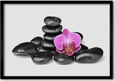 Produktbild von Bild 100x70 MDF-Rahmen Wandkunst Blumen-Stones-Kunst