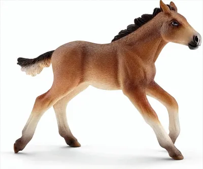 Image de Schleich 13807 Poulain Mustang