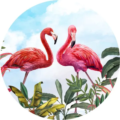 Produktbild von Sticker Kreis FLAMINGOS tropische Blätter Vögel Pflanzen Wolken Natur Aufkleber Wandtattoo Wohnzimmer Büro 100 cm x 100 cm