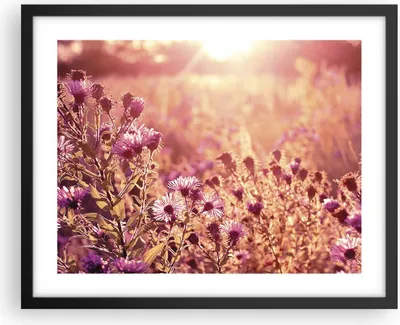 Produktbild von Gerahmtes Poster - Schwarzer Rahmen - Wiese Blumen Sonne - 50x40 cm - Wand Bild - Wanddeko - Wandbilder - Kunstposter - Wandposter - Bilderrahmen - Bilder - Kunstdruck - P2BAA50x40-4819