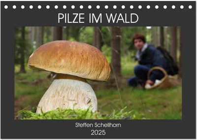 Produktbild von PILZE IM WALD (Tischkalender 2025 DIN A5 quer), CALVENDO Monatskalender