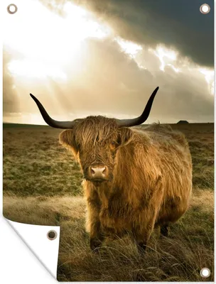 Produktbild von MuchoWow® 30x40 cm Outdoor-Poster Gartendeko Sichtschutz Garten Poster für den Garten  Schottischer Hochländer - Sonne - Tiere