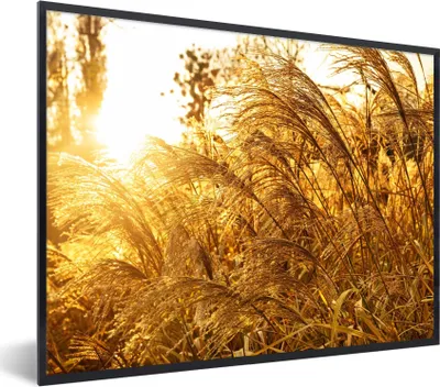 Produktbild von MuchoWow® Gerahmtes Poster Pampasgras - Sonne - Gras 40x30 cm - Poster mit Schwarzem Bilderrahmen Wandposter Rahmen Foto Bilder - Kunstposter - Wanddekorationen