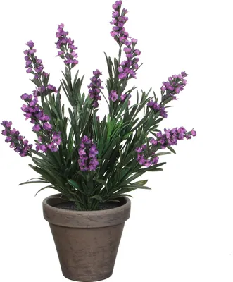 Image de Mica Decorations Plante artificielle de lavande dans un pot de fleurs Stan - H33 x Ø20 cm - Violet