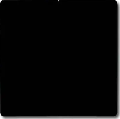 Image de Busch-Jaeger Bascule anth 2105-35 2CKA001731A1676