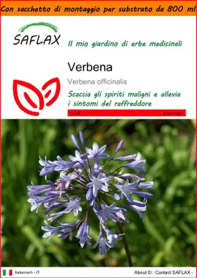 Immagine prodotto di SAFLAX Garden in the bag - Verbena - 250 semi - Verbena