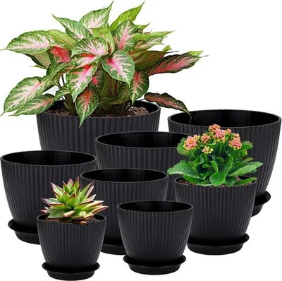 Image de Petits kits de plantation de 8 pièces avec trou pour cactus et herbes aromatiques