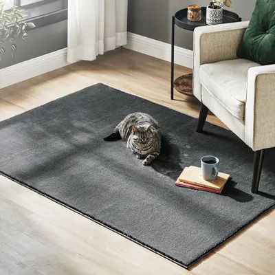 Obrázek produktu pro SONGMICS Koberec s krátkým vlasem, 120 x 170 cm, protiskluzový, lze prát v pračce, antracitově šedý, koberec do obývacího pokoje