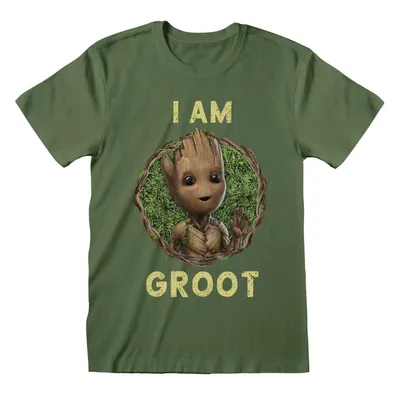 Produktbild von Kurzarm-T-Shirt Marvel Badge grün Uni - L