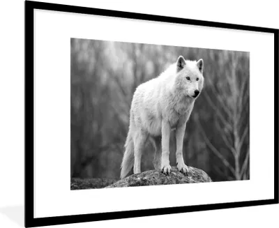 Produktbild von MuchoWow® MuchoWow® Gerahmtes Poster Wolf auf einem Stein - schwarz und weiß 90x60 cm - Poster mit zchwarzem Bilderrahmen - Wanddekoration - Fotos
