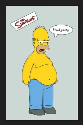 Obrázek produktu pro KS35 Simpsonovi, The - Stupid Gravity - tištěné zrcadlo