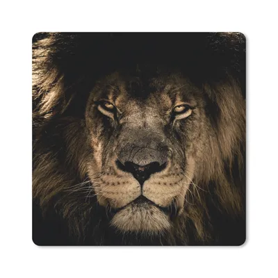 Produktbild von MuchoWow® Mauspad Mousepad Löwe - Tiere - Schwarz - Porträt 30x30 cm - Mousepads - Maus Mat - Pad - Mausunterlage - Gaming