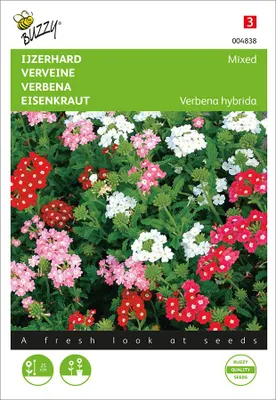 Artikelbild 2 von 'Eisenkraut Nana Compacta Mischung' aus der Kategorie Blumensamenmischung