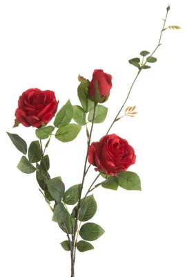 Produktbild von Künstliche rote Rose, 88 cm, Set mit 6 Stück