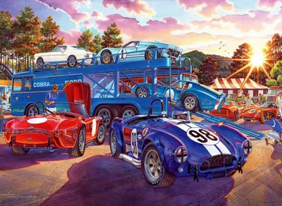 Obrázek produktu pro ANATOLIAN Puzzle Racers dorazilo 260 dlk