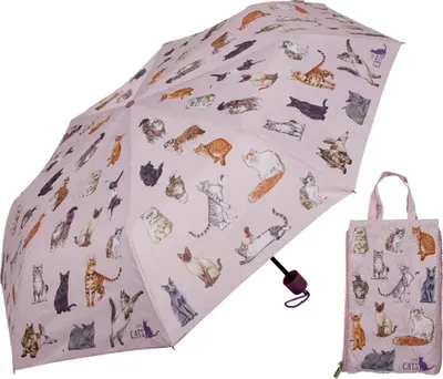 Produktbild von Coppenrath Verlag GmbH & Co.KG Taschenschirm & Duo Bag - I love cats (cats & dogs) 1