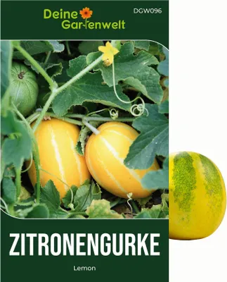 Produktbild von Zitronengurke Lemon Samen - Cucumis sativus - Gurkensamen - Gemüsesamen - Saatgut für 6 Pflanzen