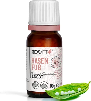 Produktbild von REAVET Bachblüten Globuli für Hunde & Katzen – Hasenfuß 10g I Bachblüten für Haustiere nach Dr. Bach I Zur natürlichen Unterstützung bei ungewohnten, negativen Situationen